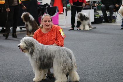 CACIB Karlsruhe 2015