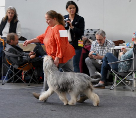 Nationale Ausstellung Karlsruhe 2015