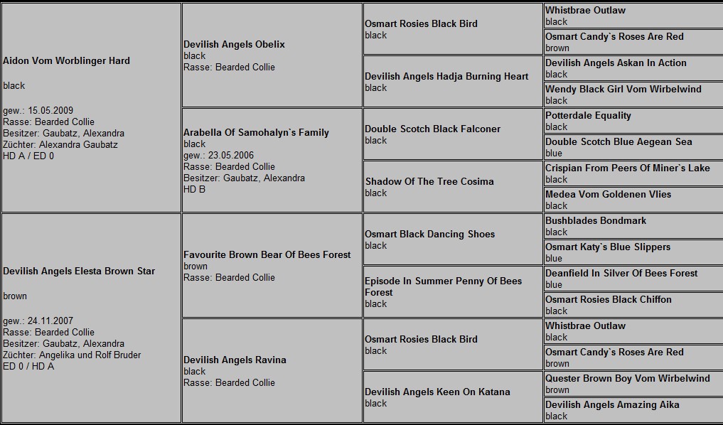 C-Wurf Bearded Collies vom Worblinger Hard