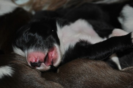 Close To Me vom Worblinger Hard